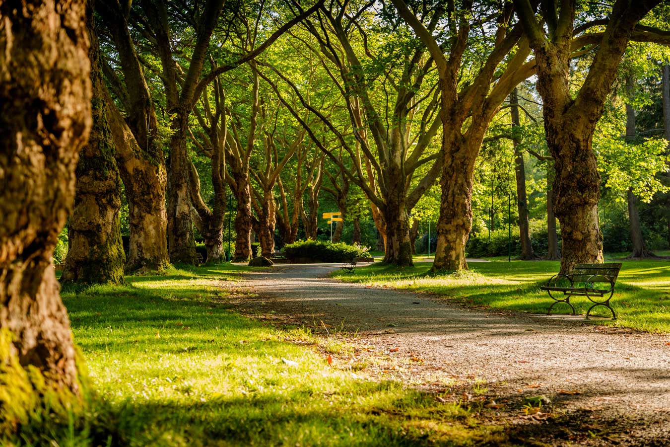 Stanley Park in Vancouver